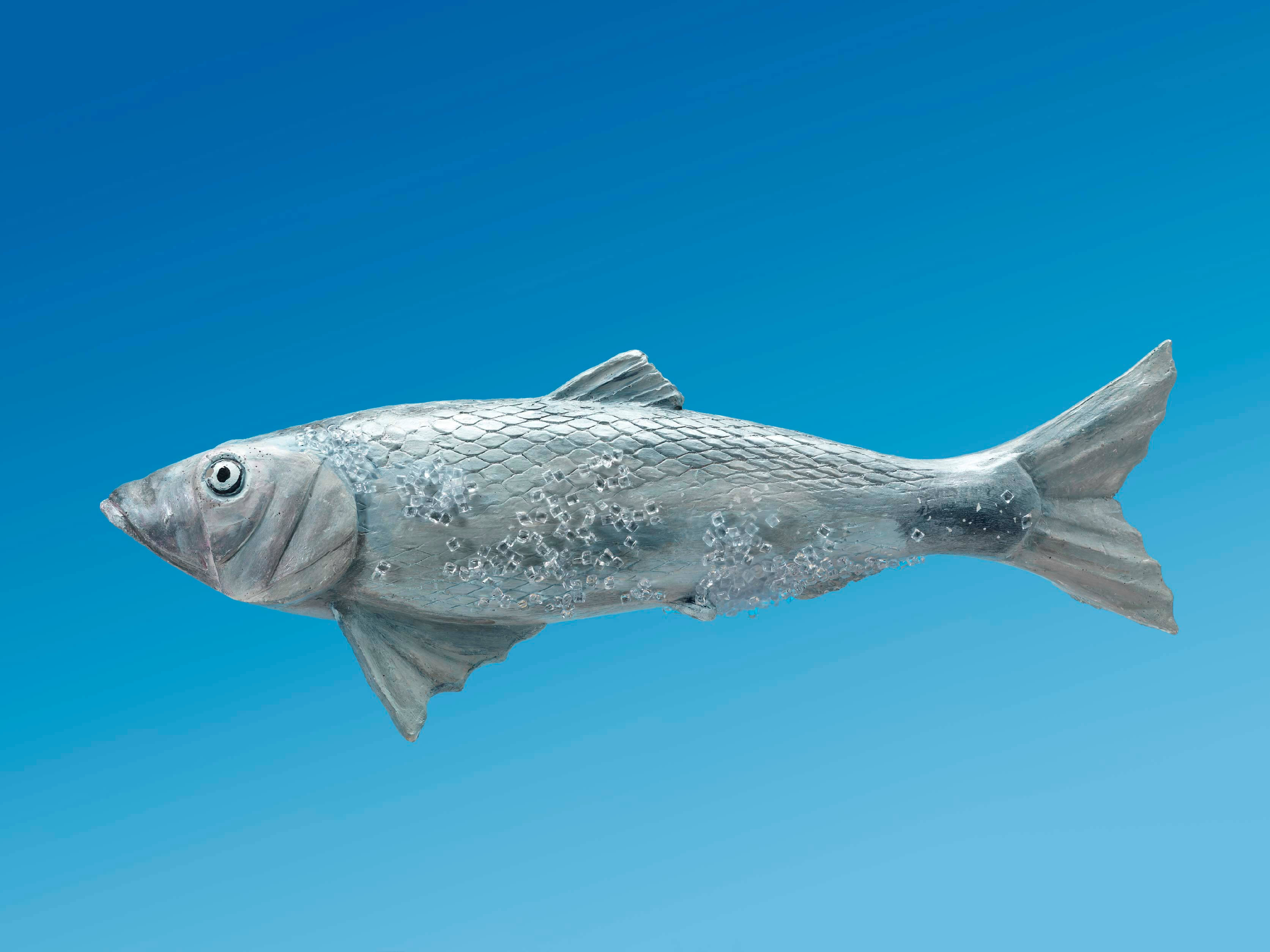 Haringbeeldje 8