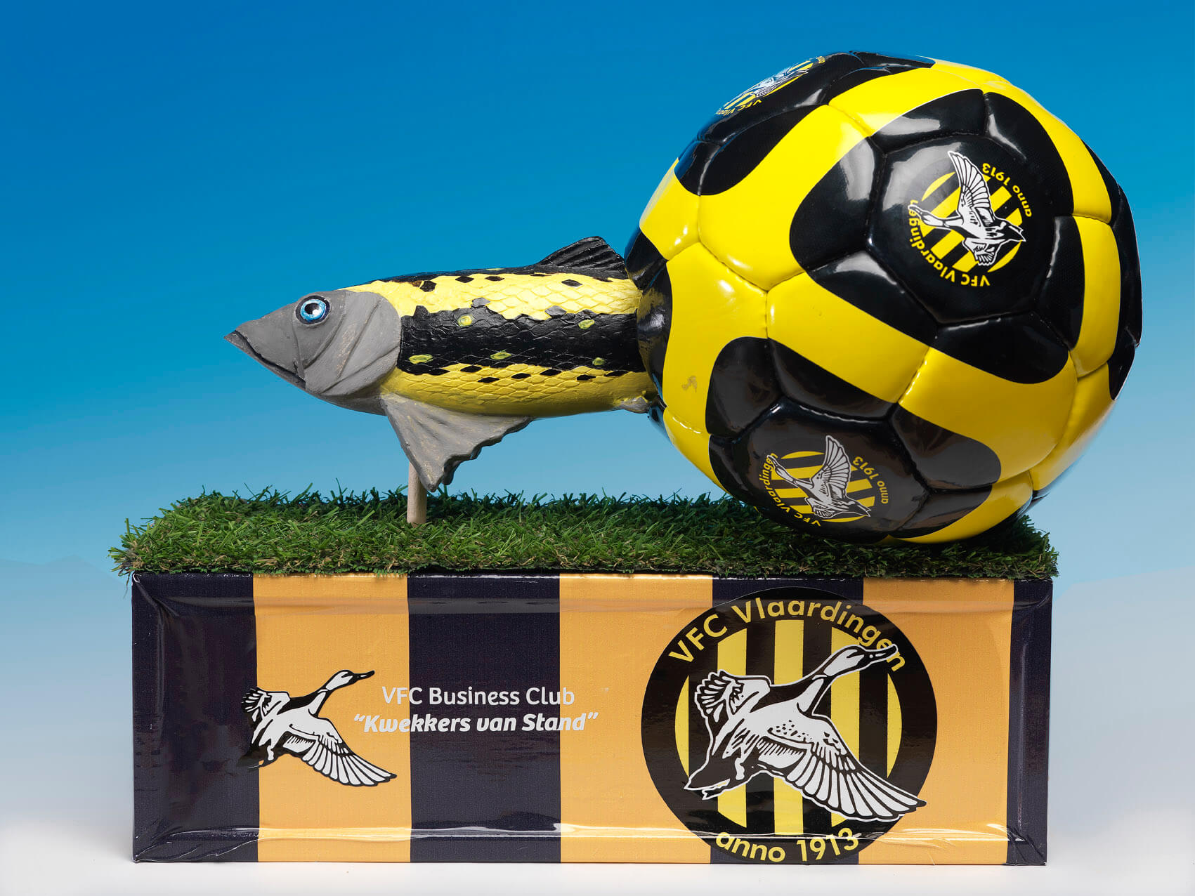 VFC voetbalvereniging